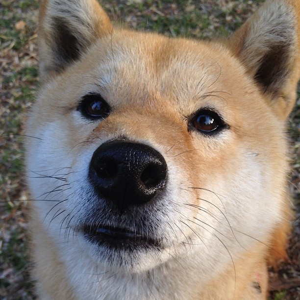 _全景滑翔伞:体验在天空自由飞翔_,室内滑翔伞