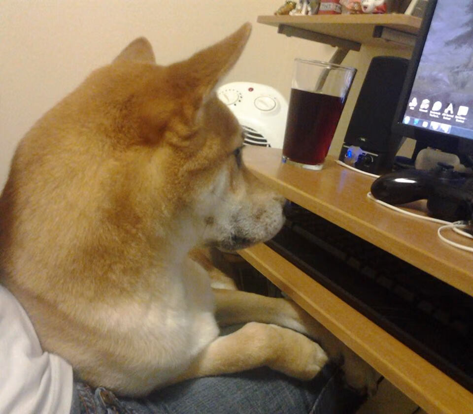 leyu乐鱼-_全民健身挑战：每个人都是运动达人_，全民健身的