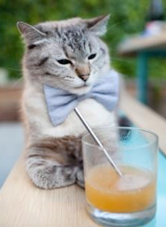 《使命召唤》选手:快速反应与精准射击的训练,使命召唤 精准射击