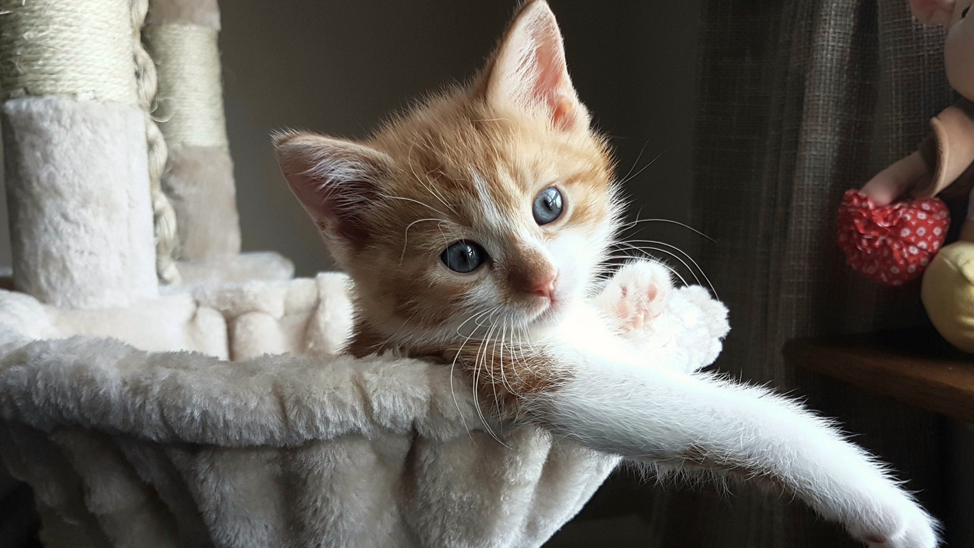 中超裁判管理体制改革正式启动,中超的裁判