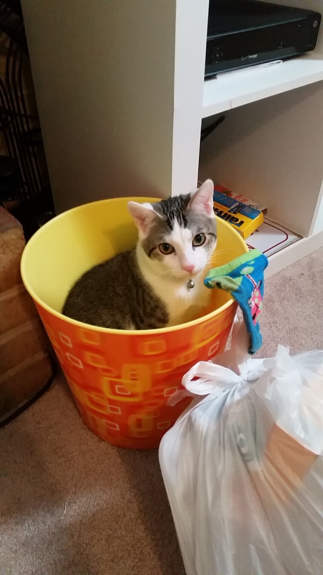 leyu乐鱼体育综合-全国青少年“绿色篮球节”在南京全面启动，倡导低碳绿色生活方式