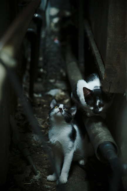 LEYU乐鱼体育官方网站-史上最激烈的“欧冠大战”榜单出炉，最精彩的欧冠比赛