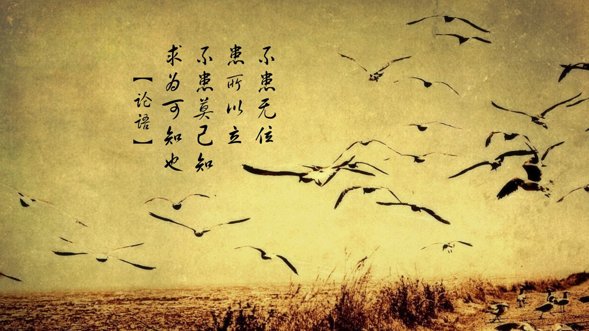 乐鱼（中国）体育官方网站-失误成败关键：上海队多达18次失误，释放对手！，上海队比赛视频