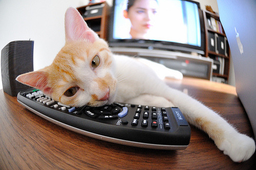 LEYU SPORTS中国官方网站-失误致命：上海队20次失误葬送追分机会！，上海队比赛视频