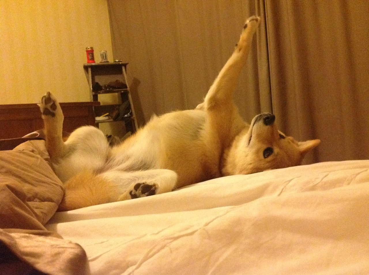 LeyuSports-拉维尔队在对决中赢得胜利，实力逐渐增强，拉什维尔