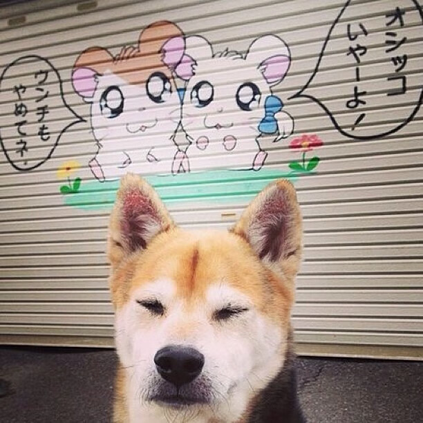 欧国联赛独具特色,精妙战术令人赞叹,欧国联赛独具特色,精妙战术令人赞叹