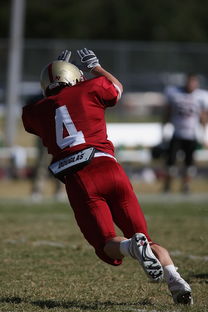 乐鱼app-德甲球队视频分析辅助防守站位调整的实证研究，德甲身体对抗