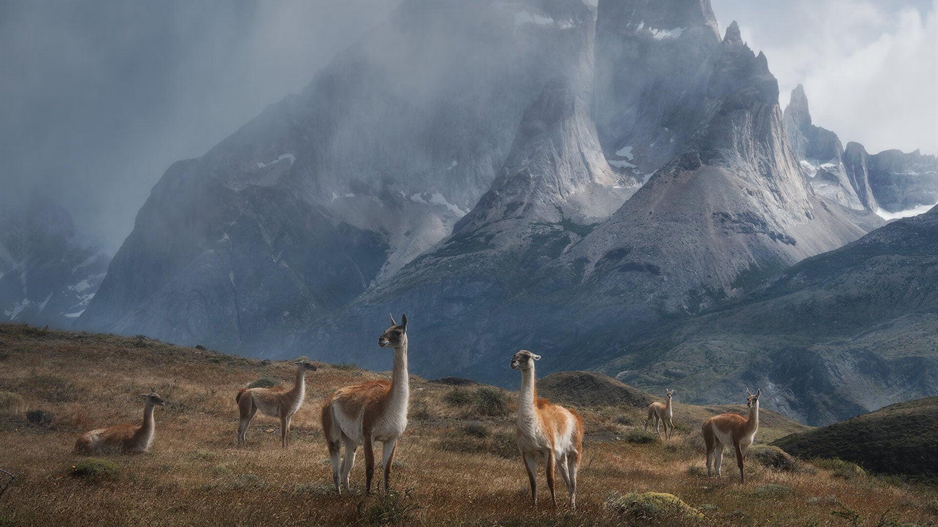 CBA赛季赛事组织更加专业,cba联赛改革