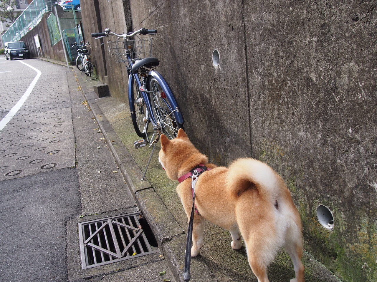 中立B男队稳扎稳打,技术细节提升明显,中立部队