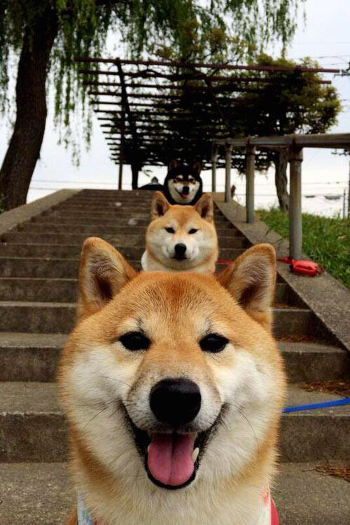 LEYU SPORTS中国官方网站-倒三角中场形成控场优势，倒三角管理模式是什么