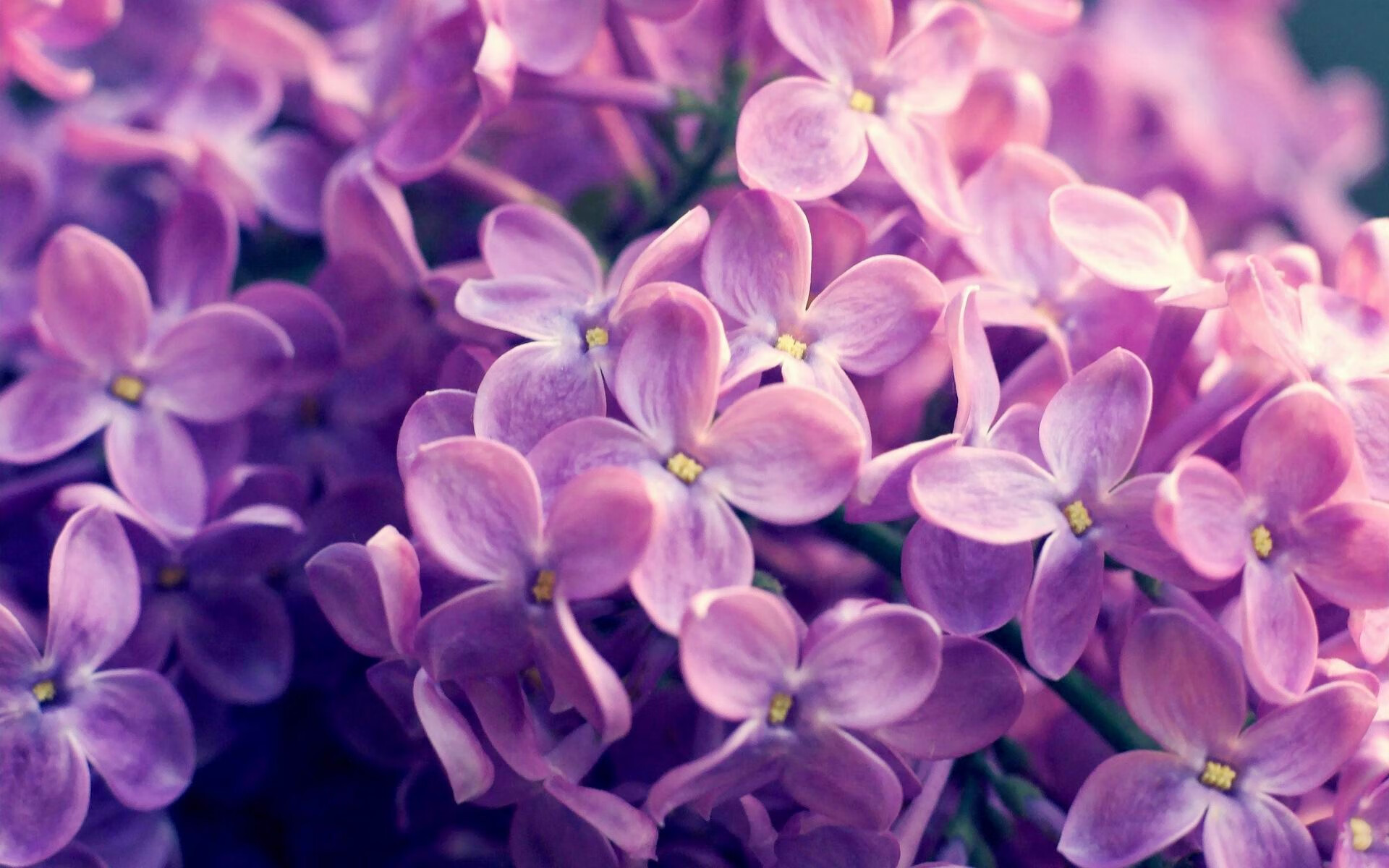 奥预赛国足复仇 球迷热情再度点燃,国足奥运赛程