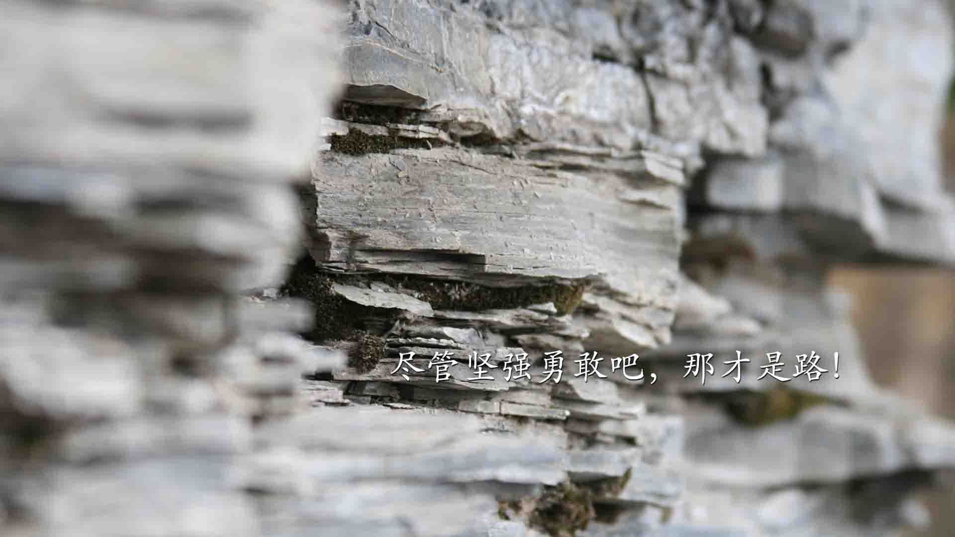 乐鱼体育平台app下载-拜仁阵型纵深合理，攻守平衡俱佳，拜仁阵型和球队战术