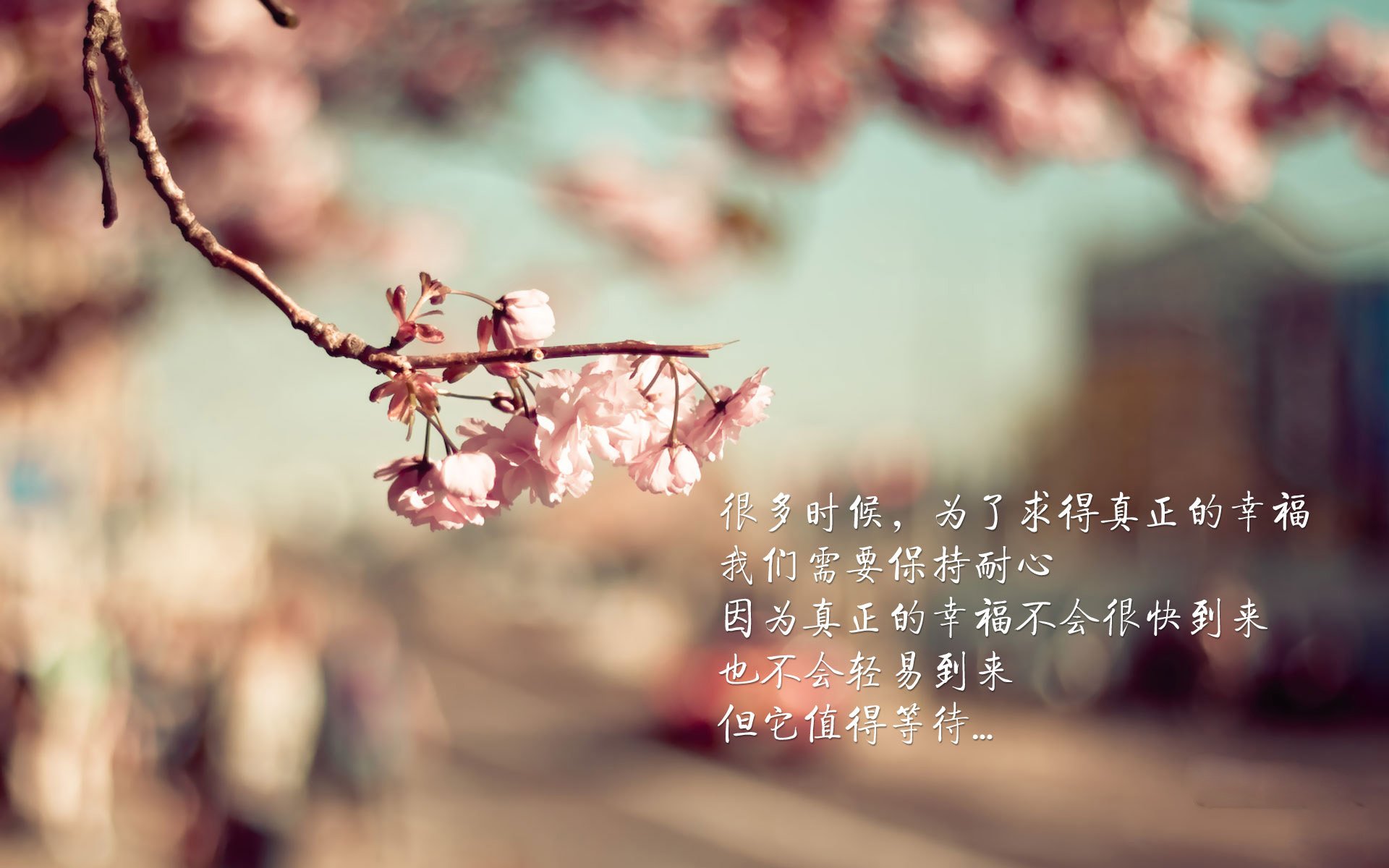 托里·哈斯克冲刺力十足赢得掌声,托里亚斯哈里斯