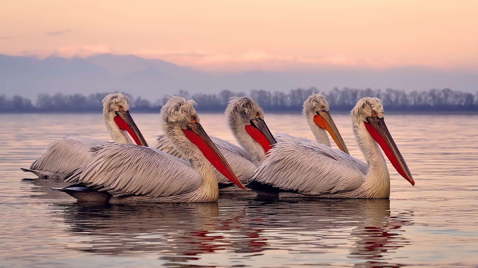 乐鱼电竞-西甲经典对抗：超神扑救与巧妙进攻交相辉映，西甲挑战赛
