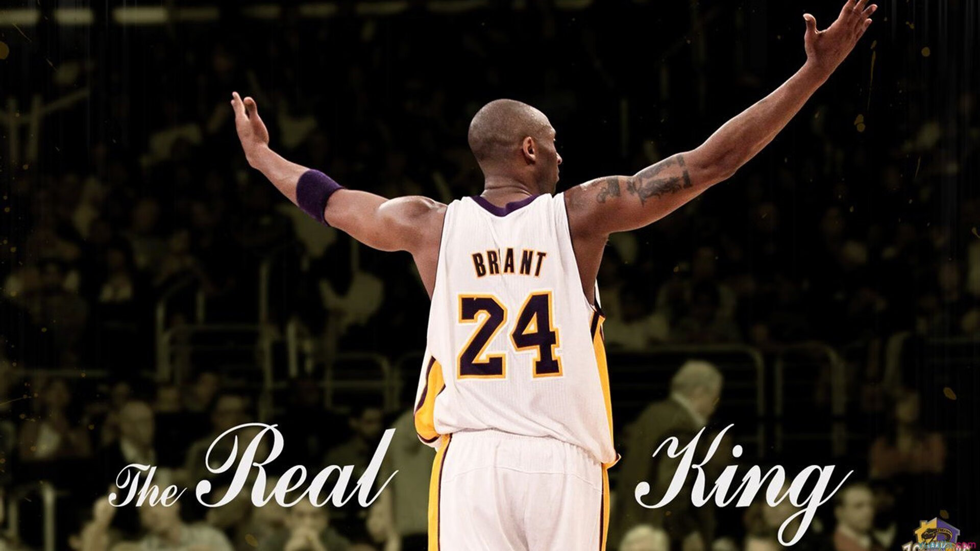 下载乐鱼体育APP-《Dota 2全球锦标赛，万人现场热血沸腾》，dota 2 international 2021