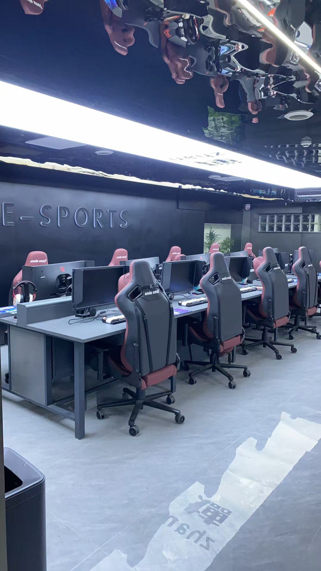 关于从爱好到职业:电竞选手的成长与心路历程。的信息 关于从爱好到职业:电竞选手的成长与心路历程。的信息