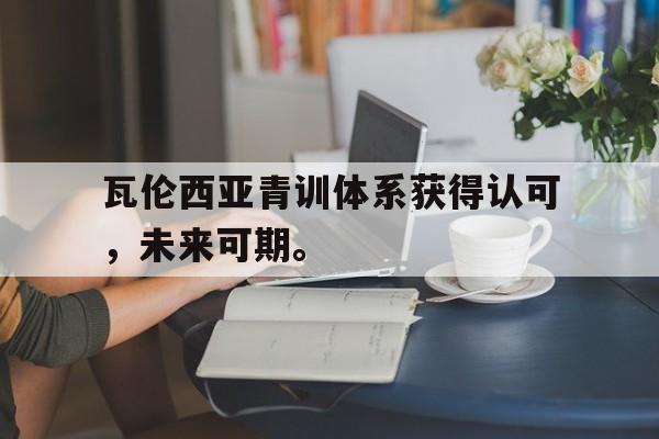 瓦伦西亚青训体系获得认可，未来可期。的简单介绍